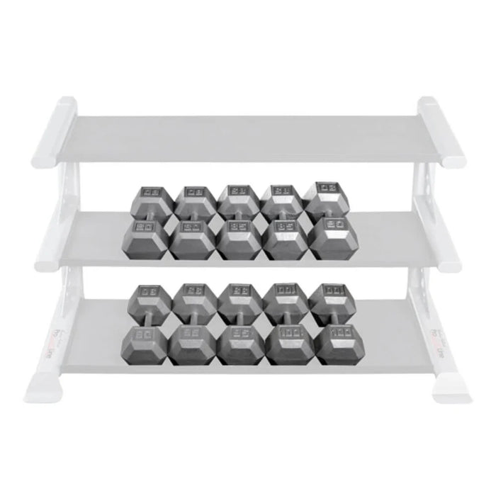 Body-Solid SDS Cast Iron Hex Dumbbell Set, 80-100 lbs, featuring durable cast iron heads, knurled steel handles, and a hexagonal shape for safe and effective strength training. on dumbbell rack